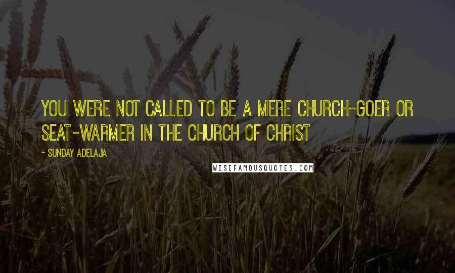 Sunday Adelaja Quotes: You were not called to be a mere church-goer or seat-warmer in the Church of Christ