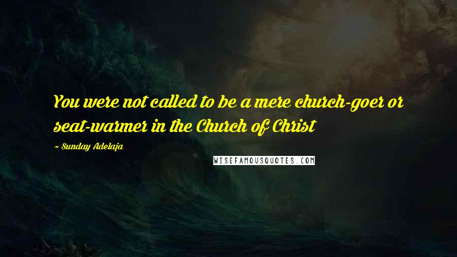 Sunday Adelaja Quotes: You were not called to be a mere church-goer or seat-warmer in the Church of Christ