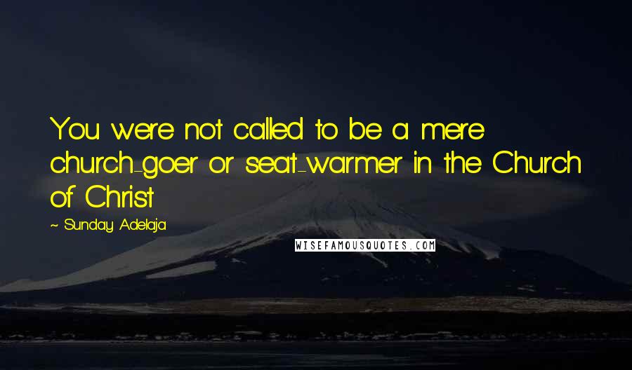 Sunday Adelaja Quotes: You were not called to be a mere church-goer or seat-warmer in the Church of Christ