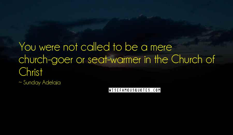 Sunday Adelaja Quotes: You were not called to be a mere church-goer or seat-warmer in the Church of Christ