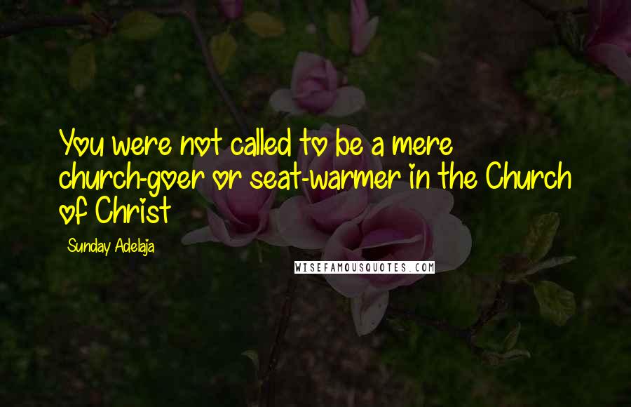 Sunday Adelaja Quotes: You were not called to be a mere church-goer or seat-warmer in the Church of Christ