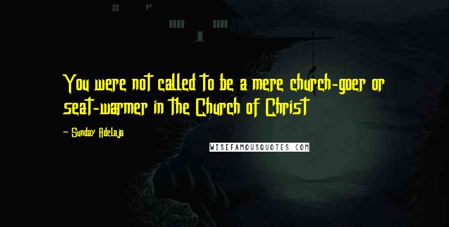 Sunday Adelaja Quotes: You were not called to be a mere church-goer or seat-warmer in the Church of Christ