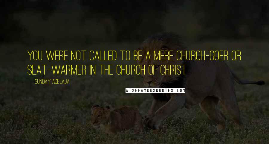 Sunday Adelaja Quotes: You were not called to be a mere church-goer or seat-warmer in the Church of Christ