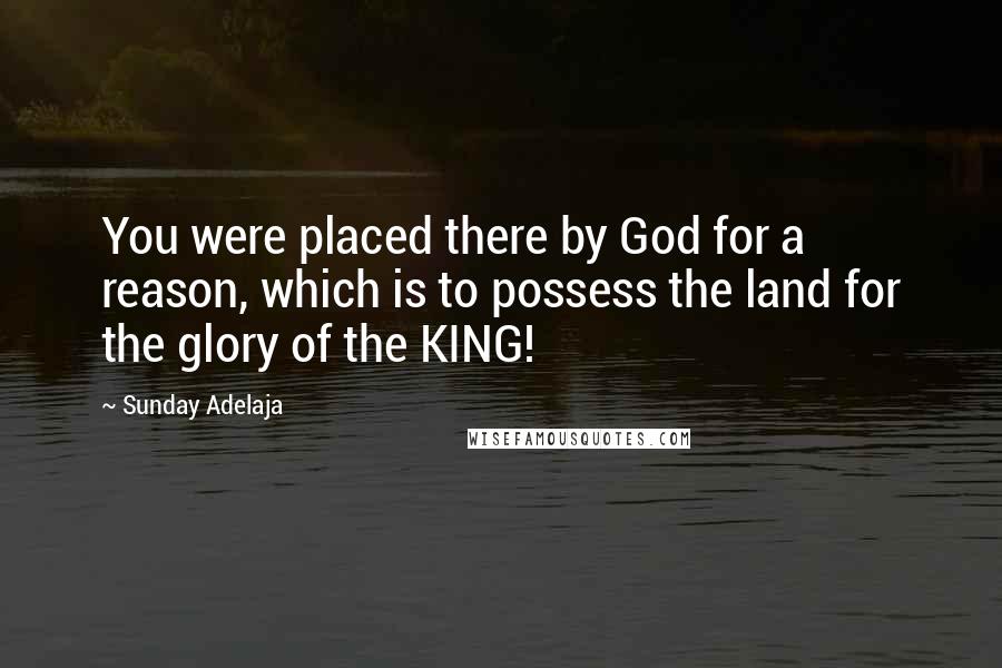 Sunday Adelaja Quotes: You were placed there by God for a reason, which is to possess the land for the glory of the KING!
