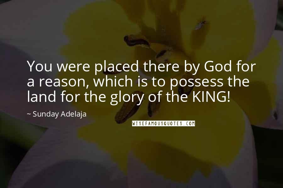 Sunday Adelaja Quotes: You were placed there by God for a reason, which is to possess the land for the glory of the KING!