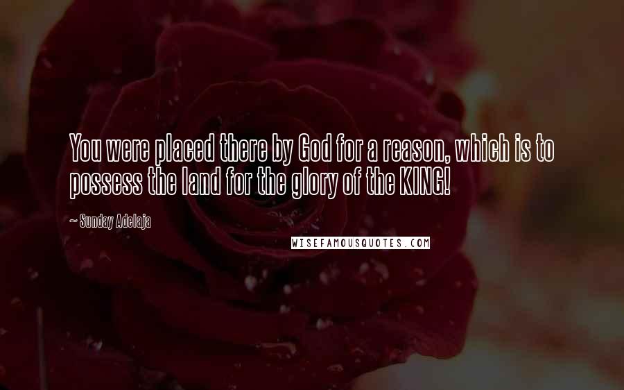 Sunday Adelaja Quotes: You were placed there by God for a reason, which is to possess the land for the glory of the KING!