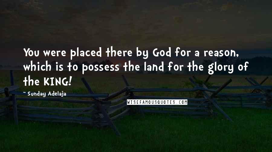Sunday Adelaja Quotes: You were placed there by God for a reason, which is to possess the land for the glory of the KING!