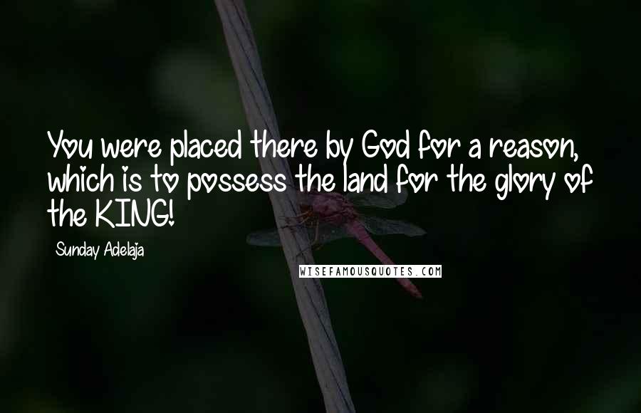 Sunday Adelaja Quotes: You were placed there by God for a reason, which is to possess the land for the glory of the KING!