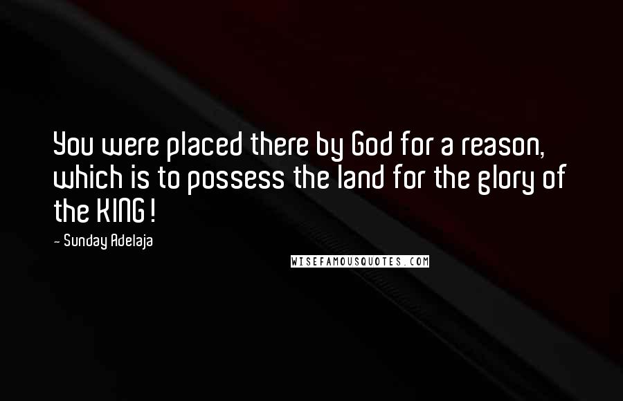 Sunday Adelaja Quotes: You were placed there by God for a reason, which is to possess the land for the glory of the KING!