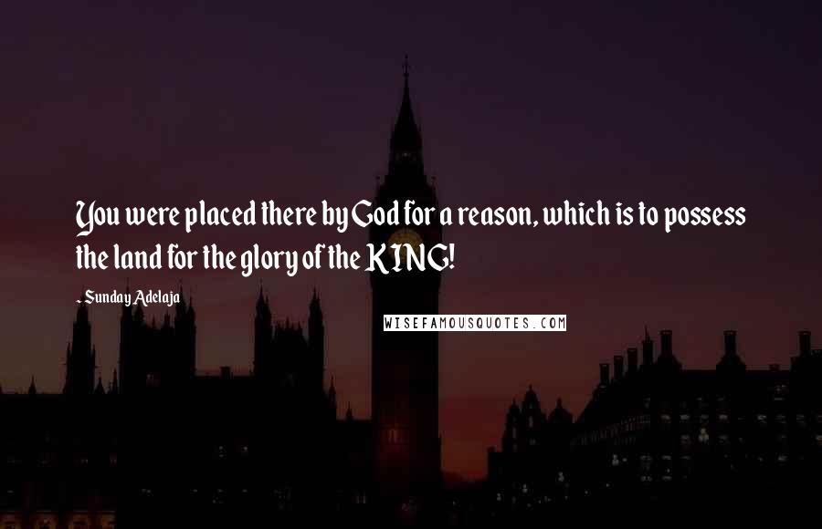 Sunday Adelaja Quotes: You were placed there by God for a reason, which is to possess the land for the glory of the KING!