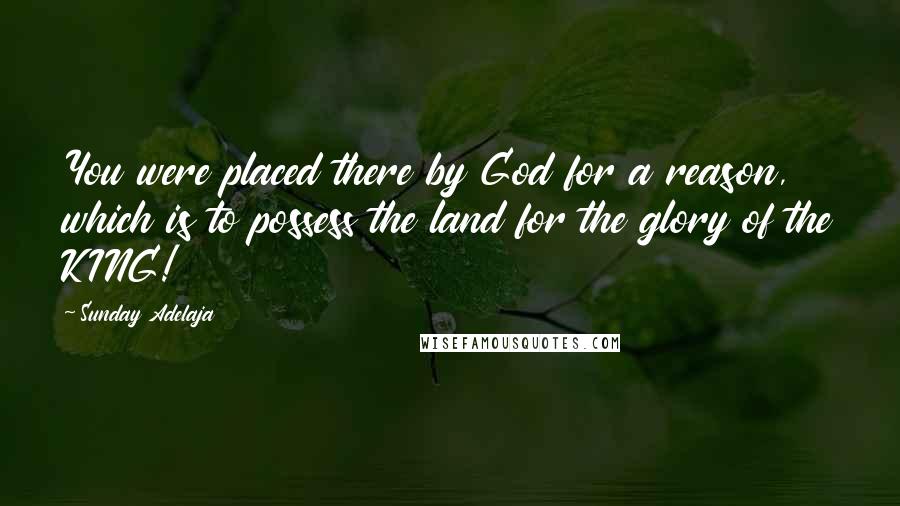 Sunday Adelaja Quotes: You were placed there by God for a reason, which is to possess the land for the glory of the KING!