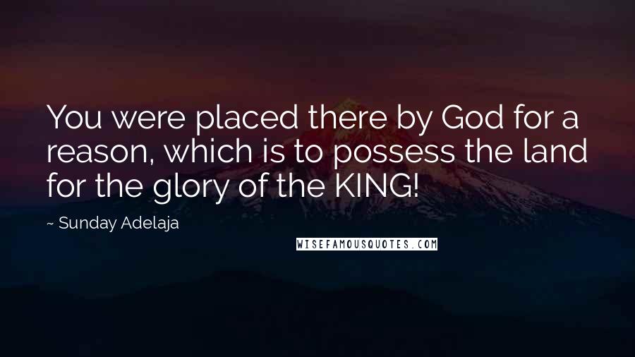 Sunday Adelaja Quotes: You were placed there by God for a reason, which is to possess the land for the glory of the KING!