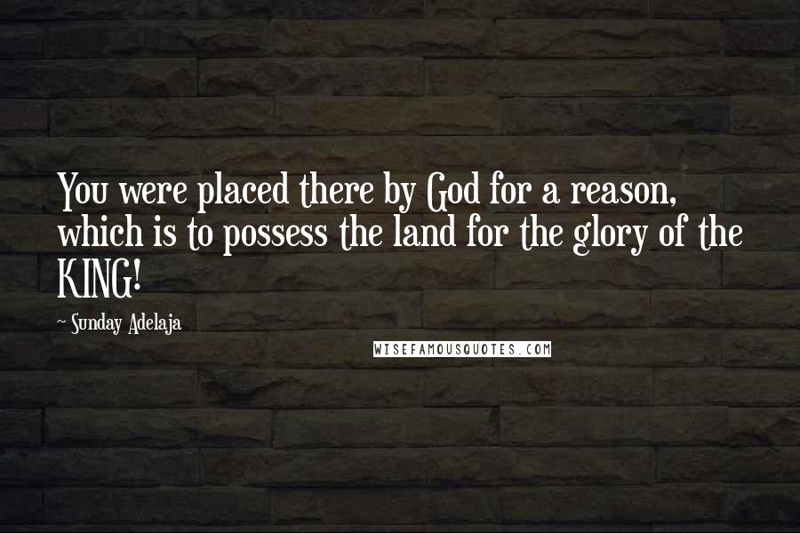 Sunday Adelaja Quotes: You were placed there by God for a reason, which is to possess the land for the glory of the KING!