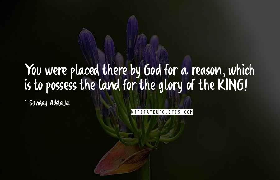 Sunday Adelaja Quotes: You were placed there by God for a reason, which is to possess the land for the glory of the KING!