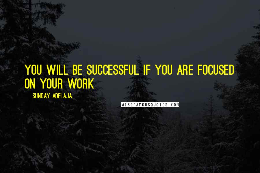 Sunday Adelaja Quotes: You will be successful if you are focused on your work