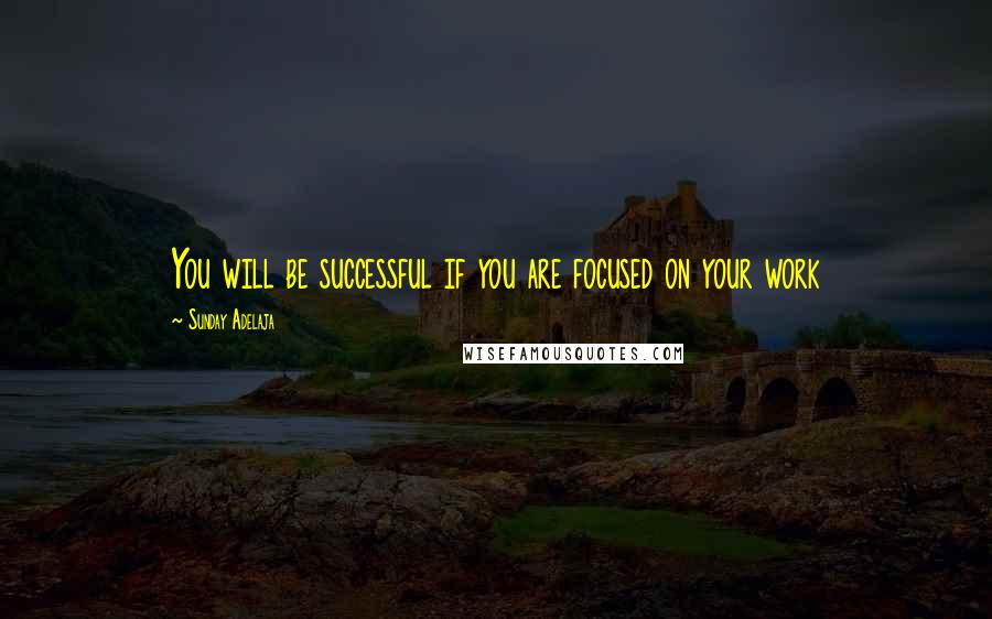 Sunday Adelaja Quotes: You will be successful if you are focused on your work