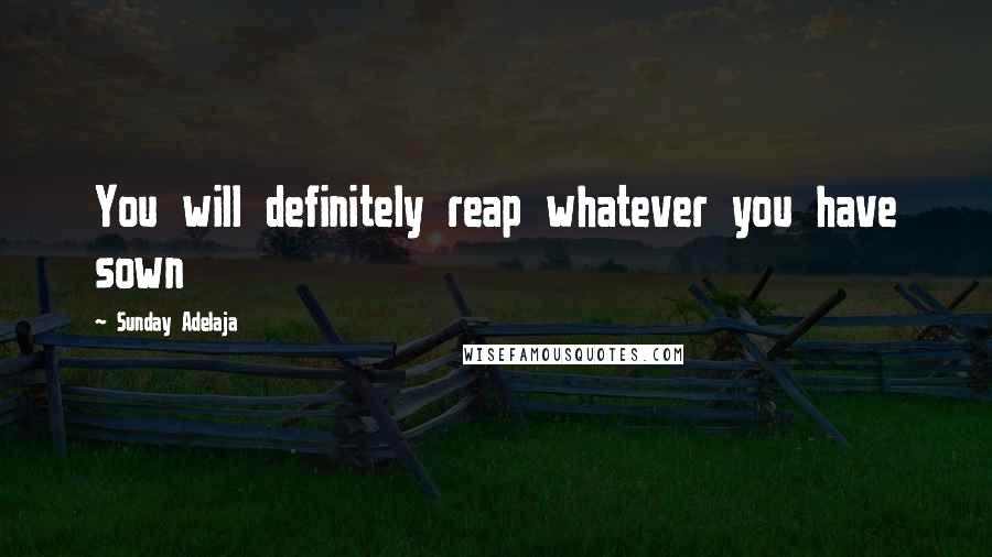 Sunday Adelaja Quotes: You will definitely reap whatever you have sown