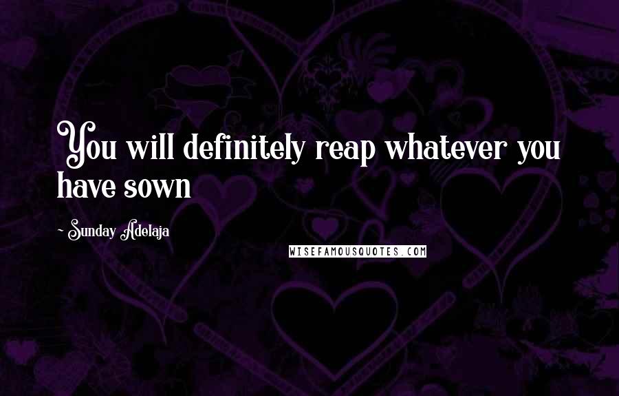 Sunday Adelaja Quotes: You will definitely reap whatever you have sown