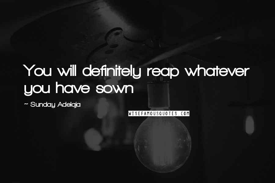 Sunday Adelaja Quotes: You will definitely reap whatever you have sown