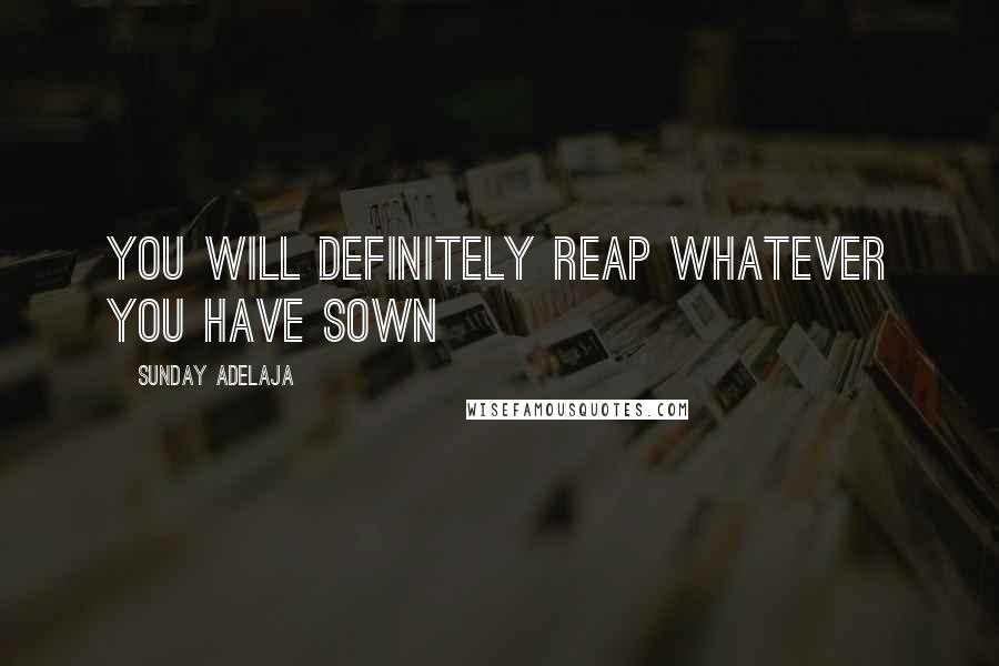 Sunday Adelaja Quotes: You will definitely reap whatever you have sown