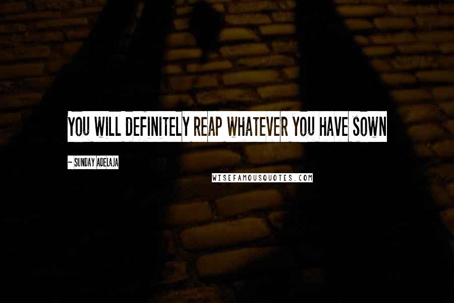 Sunday Adelaja Quotes: You will definitely reap whatever you have sown