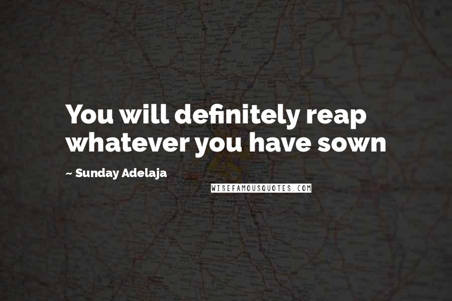 Sunday Adelaja Quotes: You will definitely reap whatever you have sown