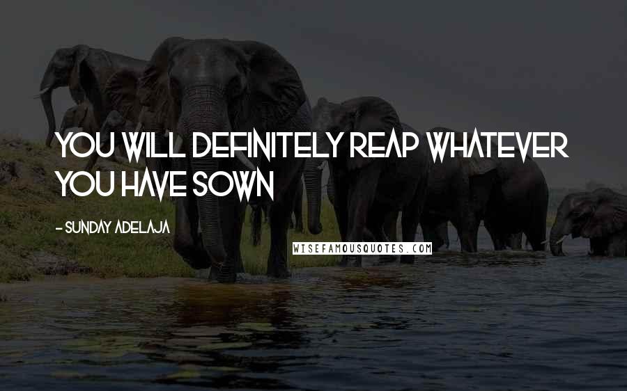 Sunday Adelaja Quotes: You will definitely reap whatever you have sown