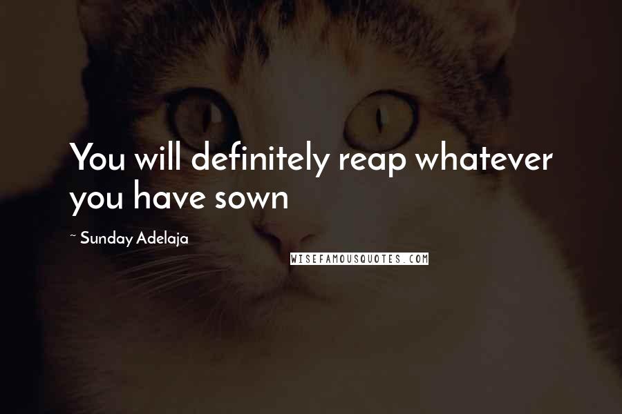 Sunday Adelaja Quotes: You will definitely reap whatever you have sown