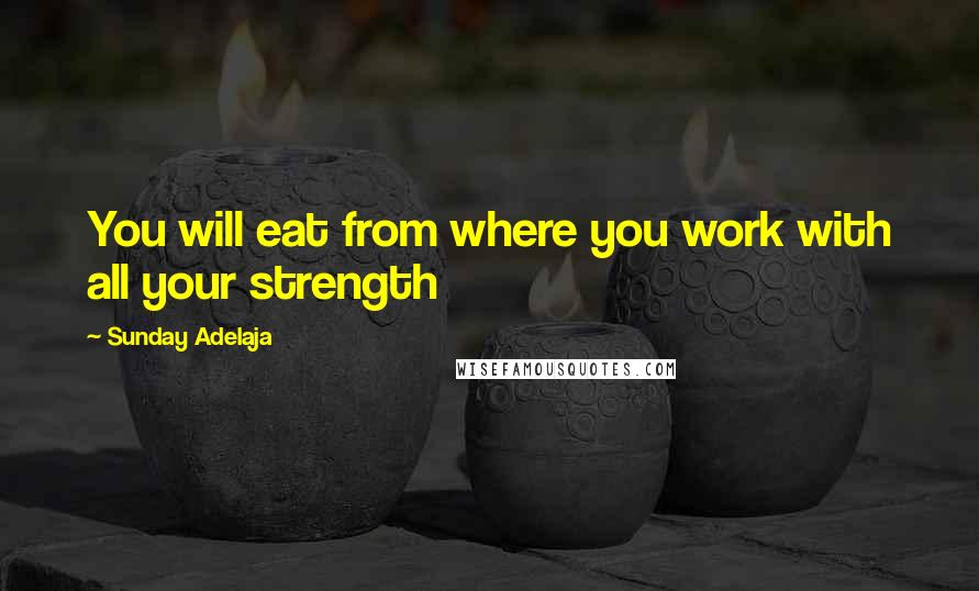 Sunday Adelaja Quotes: You will eat from where you work with all your strength