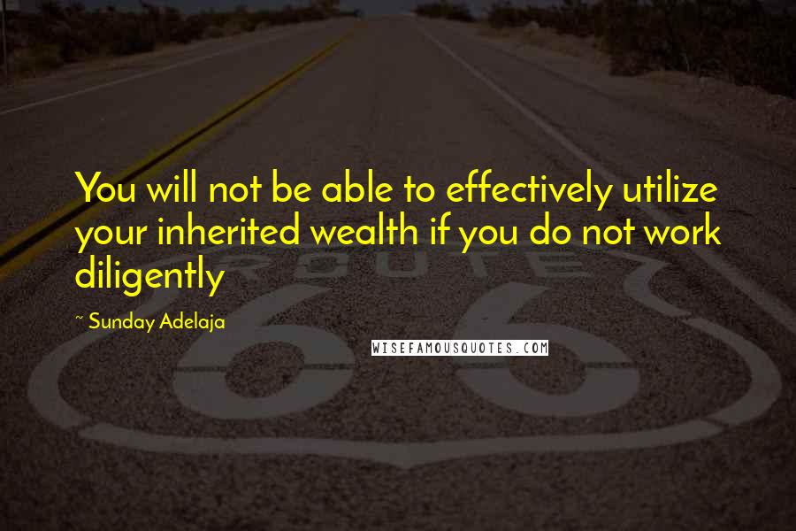Sunday Adelaja Quotes: You will not be able to effectively utilize your inherited wealth if you do not work diligently