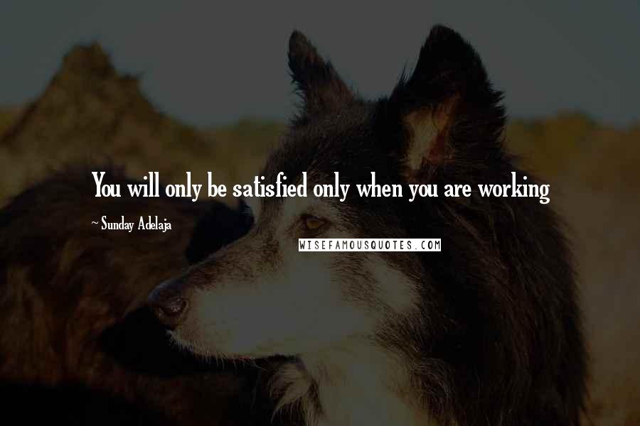 Sunday Adelaja Quotes: You will only be satisfied only when you are working