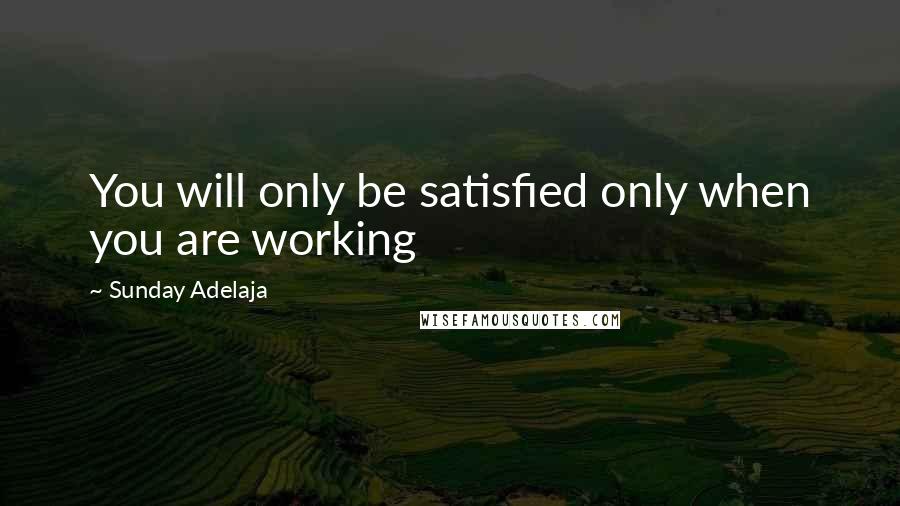Sunday Adelaja Quotes: You will only be satisfied only when you are working