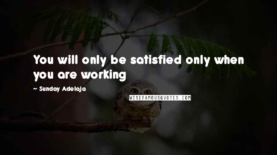 Sunday Adelaja Quotes: You will only be satisfied only when you are working