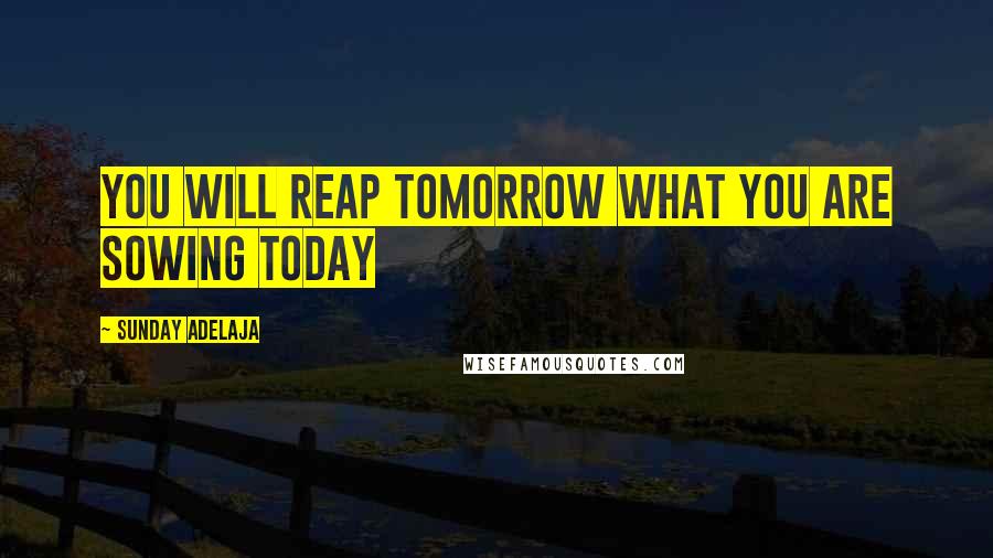 Sunday Adelaja Quotes: You will reap tomorrow what you are sowing today