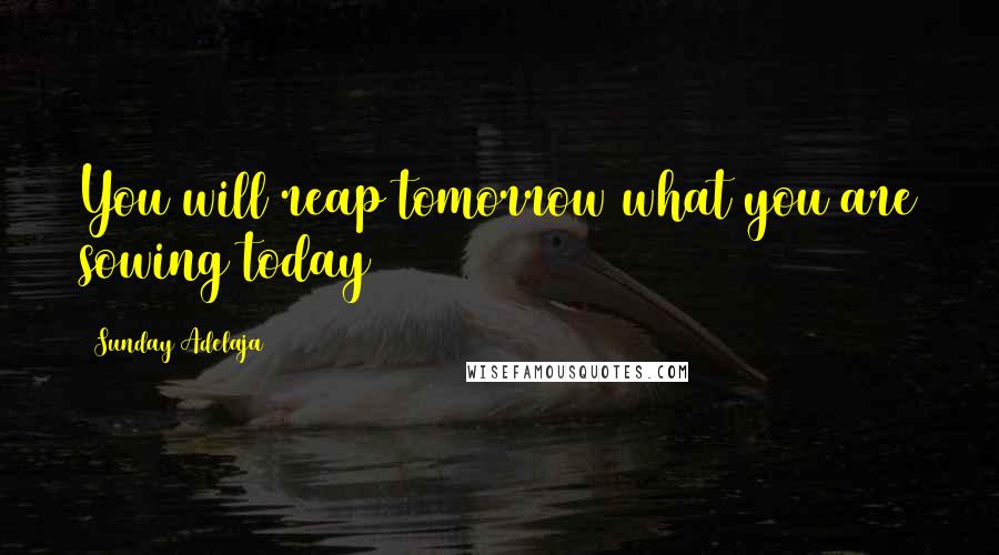 Sunday Adelaja Quotes: You will reap tomorrow what you are sowing today