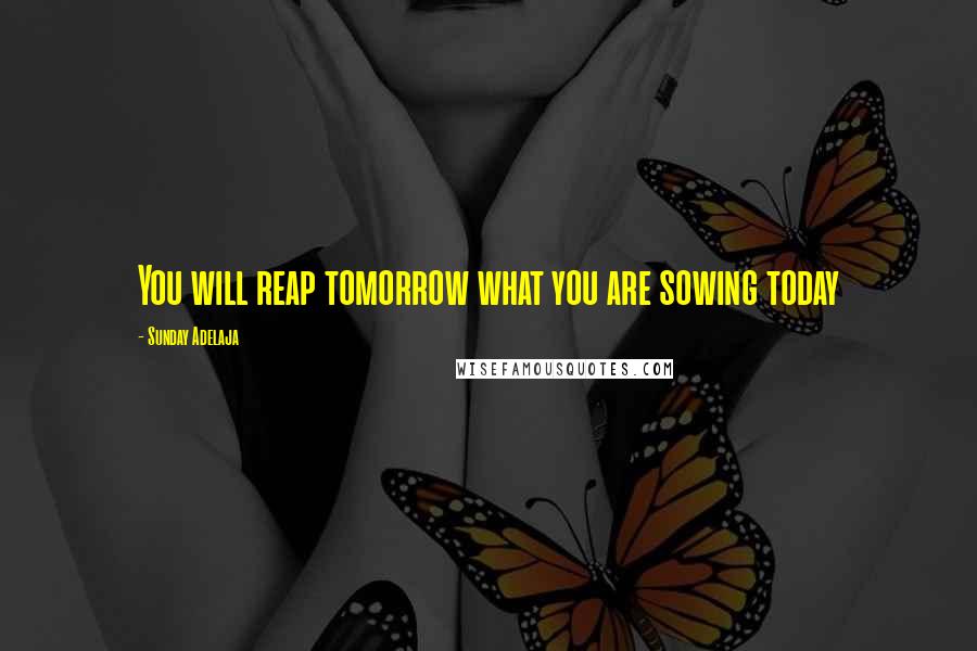 Sunday Adelaja Quotes: You will reap tomorrow what you are sowing today