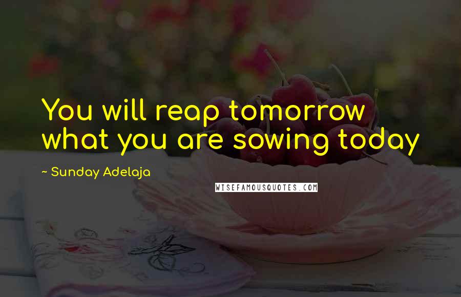 Sunday Adelaja Quotes: You will reap tomorrow what you are sowing today