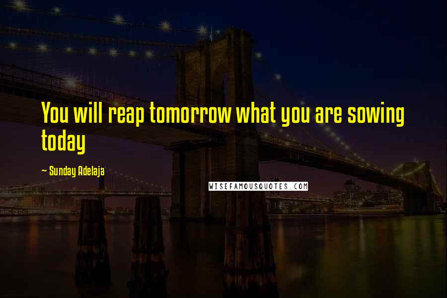 Sunday Adelaja Quotes: You will reap tomorrow what you are sowing today