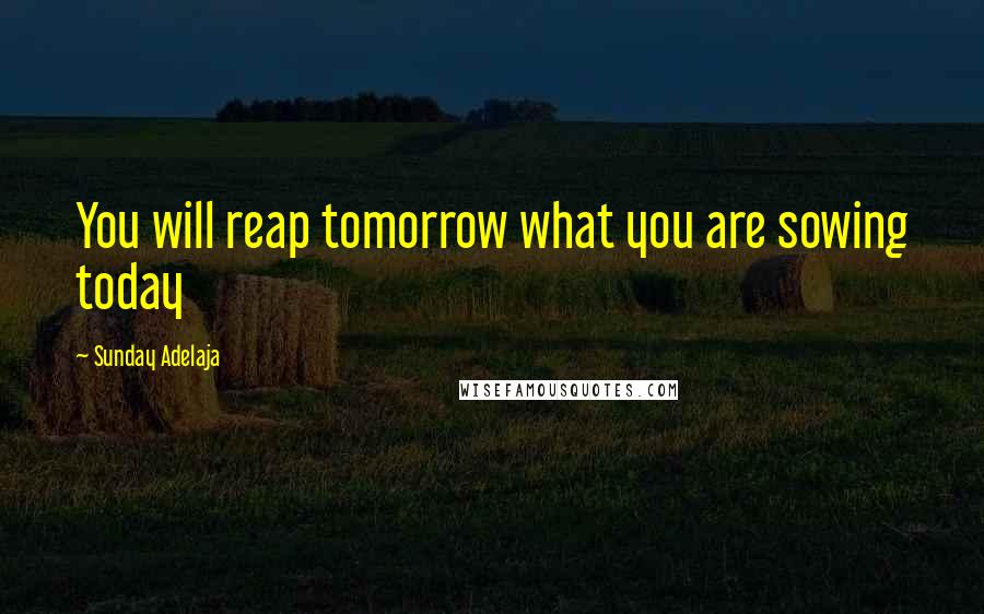 Sunday Adelaja Quotes: You will reap tomorrow what you are sowing today