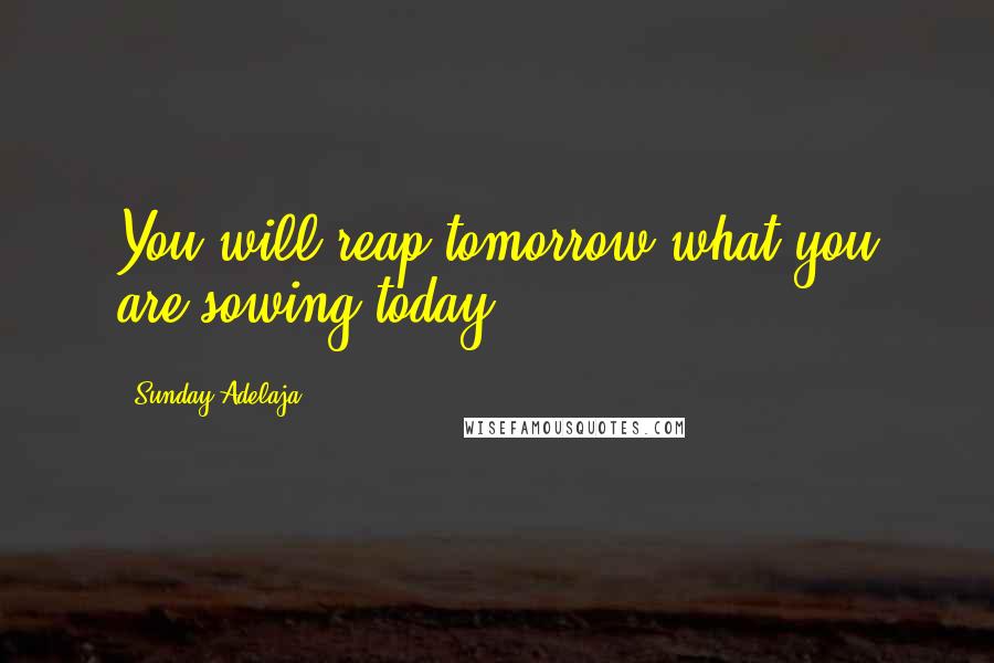 Sunday Adelaja Quotes: You will reap tomorrow what you are sowing today