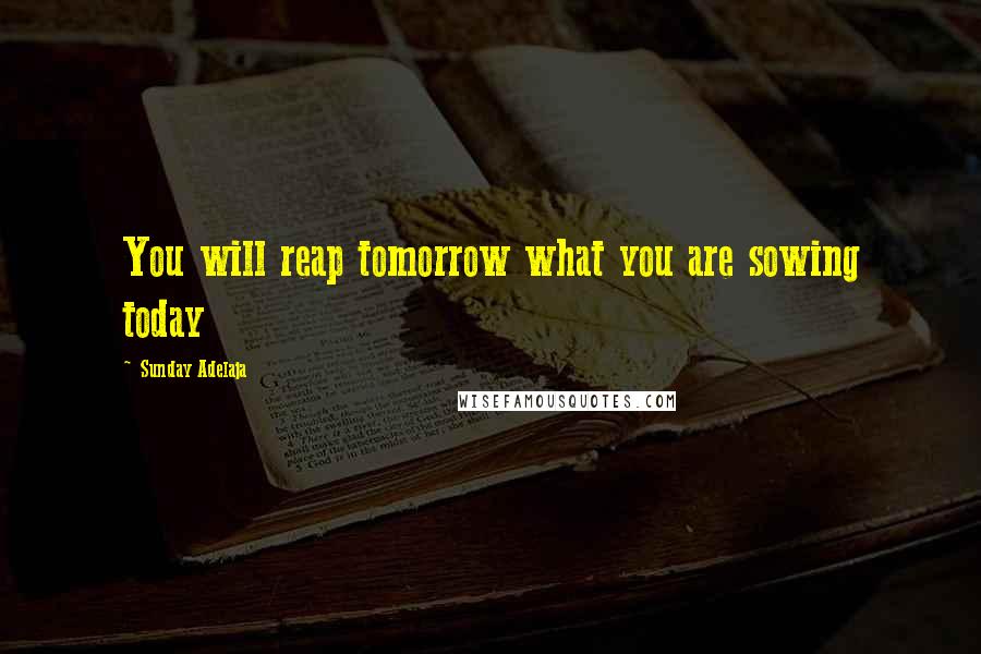 Sunday Adelaja Quotes: You will reap tomorrow what you are sowing today