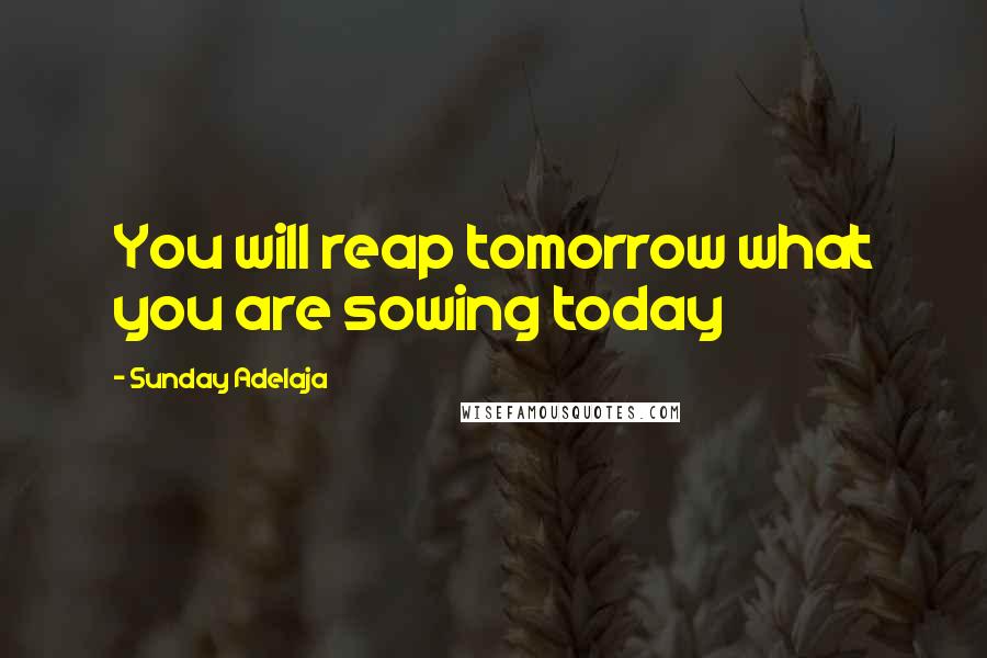 Sunday Adelaja Quotes: You will reap tomorrow what you are sowing today