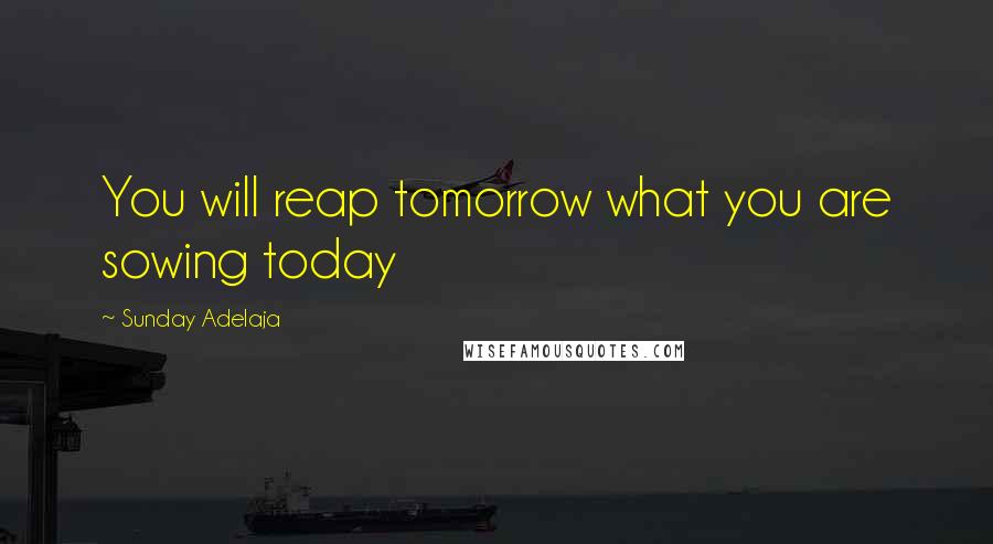 Sunday Adelaja Quotes: You will reap tomorrow what you are sowing today