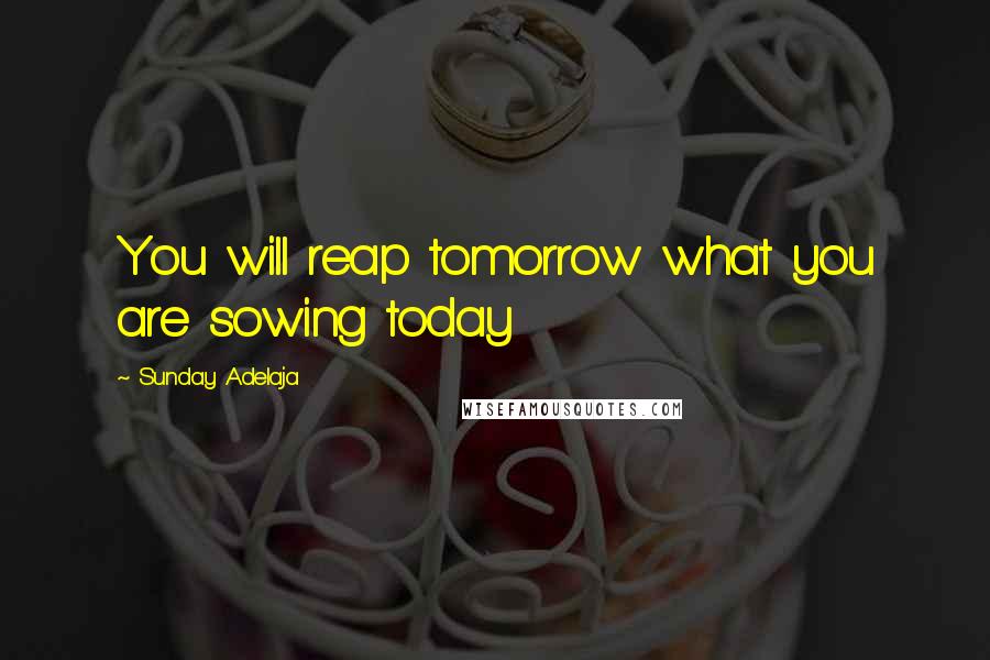 Sunday Adelaja Quotes: You will reap tomorrow what you are sowing today