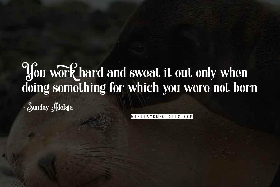 Sunday Adelaja Quotes: You work hard and sweat it out only when doing something for which you were not born