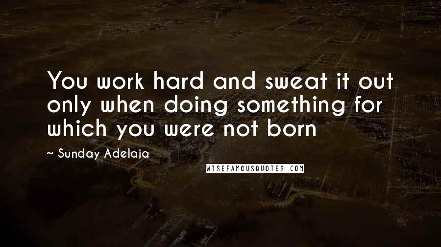 Sunday Adelaja Quotes: You work hard and sweat it out only when doing something for which you were not born