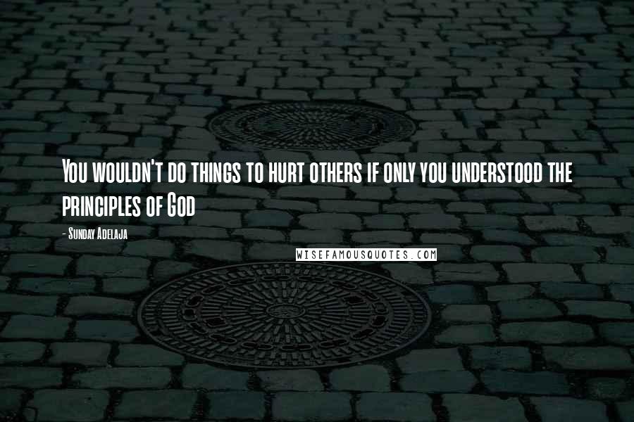 Sunday Adelaja Quotes: You wouldn't do things to hurt others if only you understood the principles of God