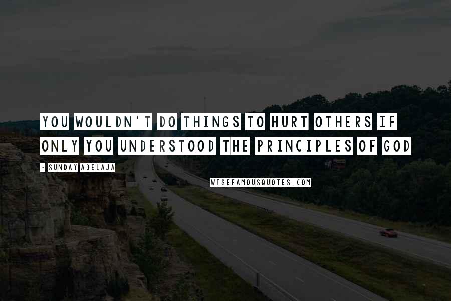 Sunday Adelaja Quotes: You wouldn't do things to hurt others if only you understood the principles of God