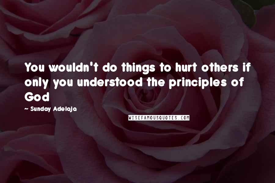 Sunday Adelaja Quotes: You wouldn't do things to hurt others if only you understood the principles of God