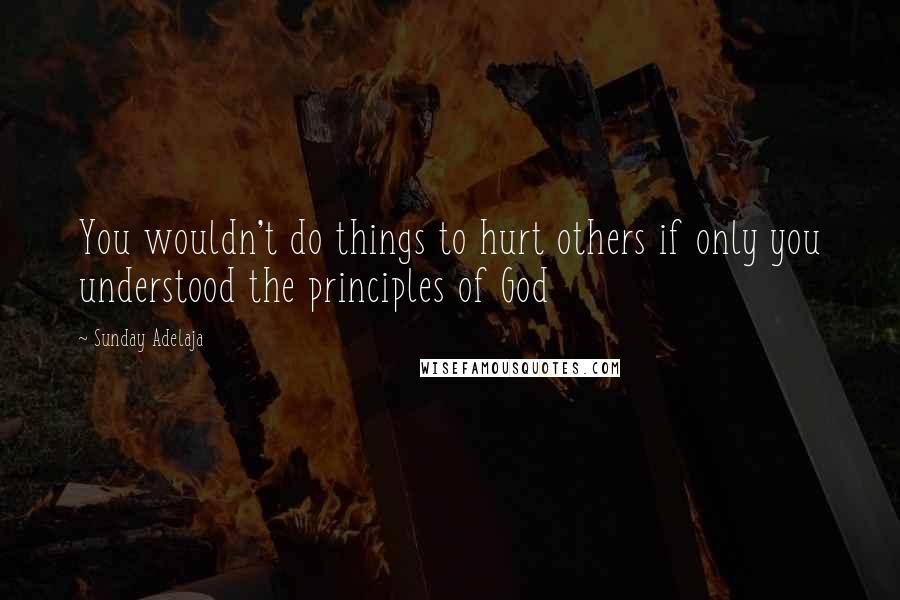 Sunday Adelaja Quotes: You wouldn't do things to hurt others if only you understood the principles of God